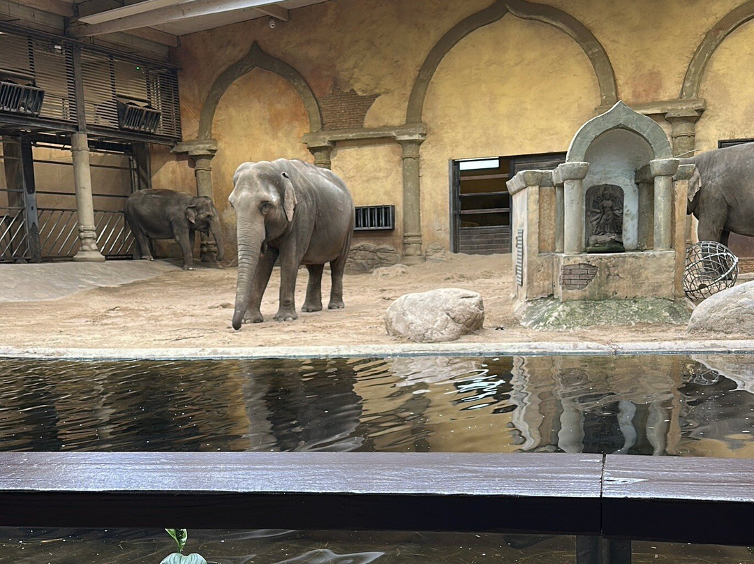 Tierpark Hagenbeck-汉堡必去景点