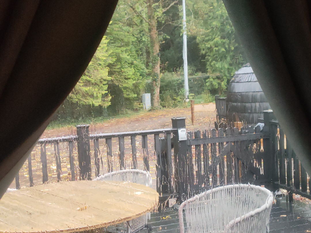 Mount Congreve Gardens-County Waterford必去景点