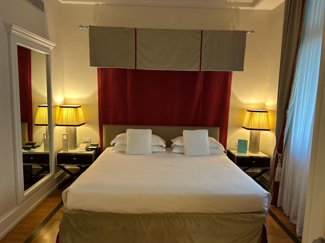 萨沃伊爱克赛希尔宫殿酒店主图