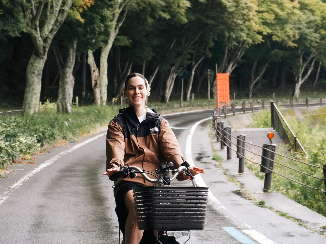Momiji Tunnel-富士河口湖町必去景点