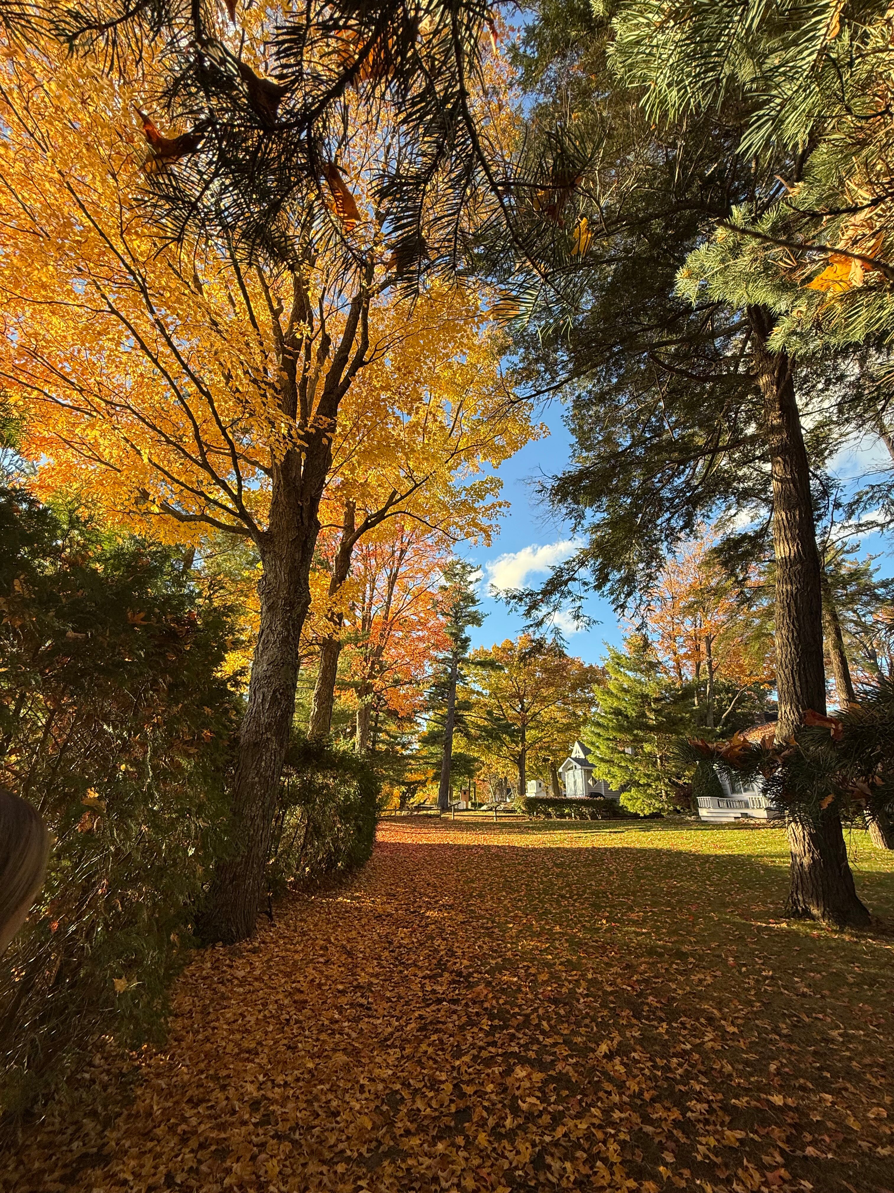 Hotel Walloon-官方