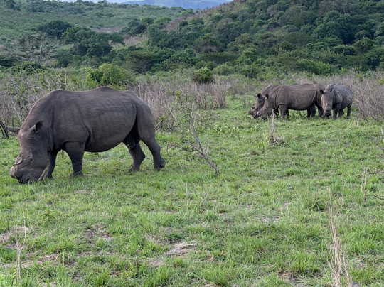 Durban Day Safaris-德班必去景点