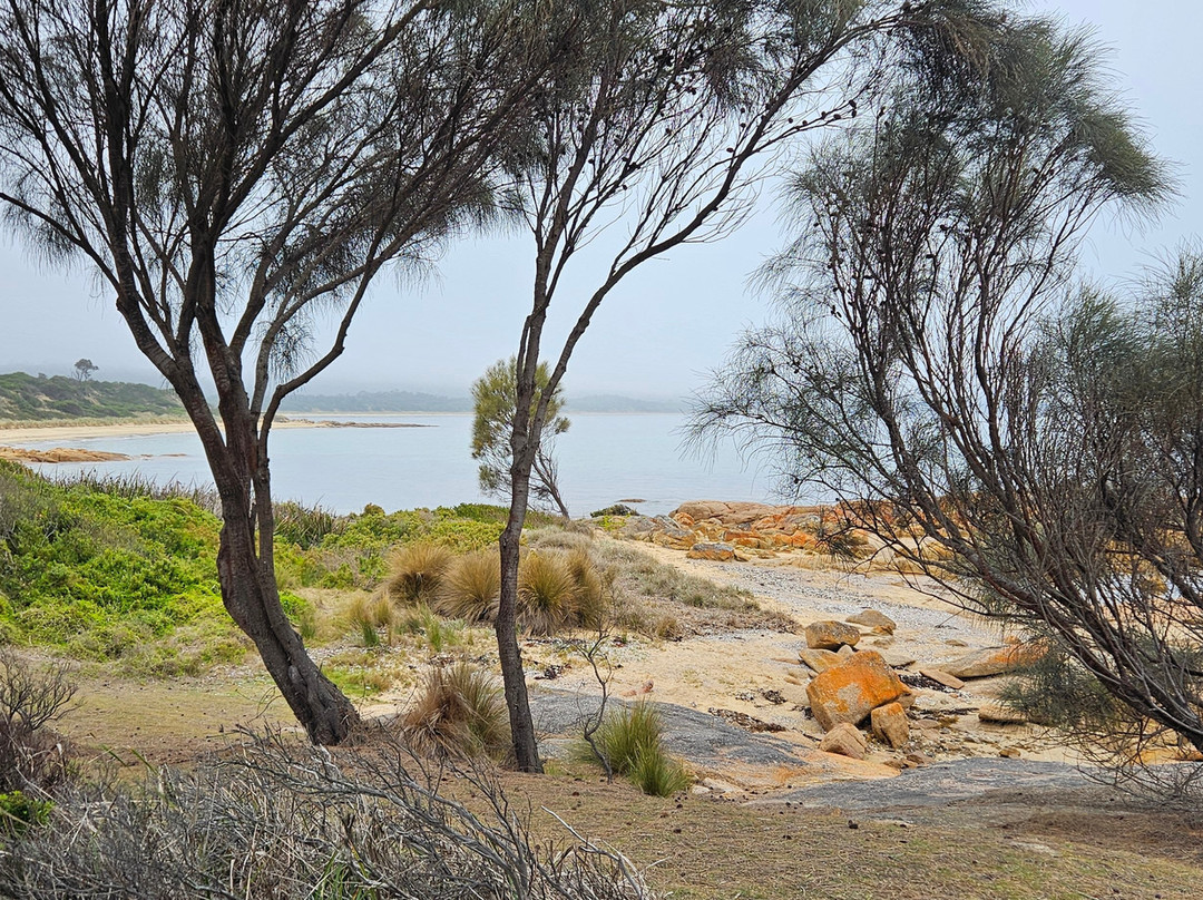 海湾边缘度假村主图