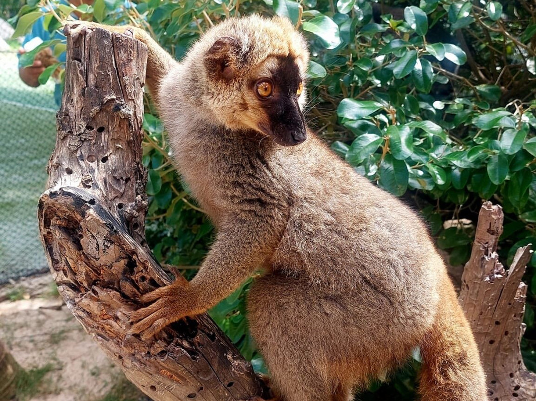 Island Vibe Destinations-Spanish Town必去景点