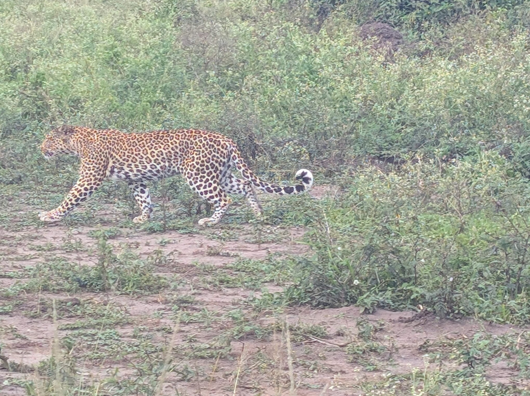 Katona Tours and Travel-吉佳利必去景点