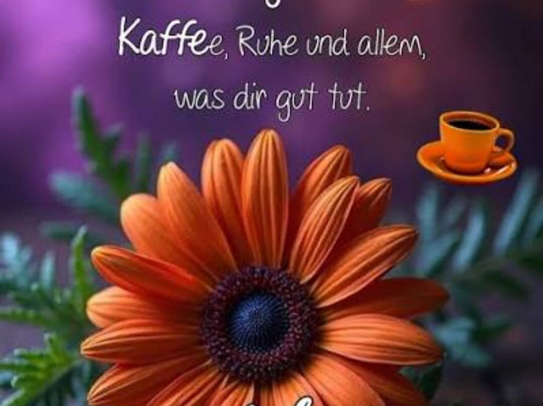 Theresienstein Park-Hof必去景点