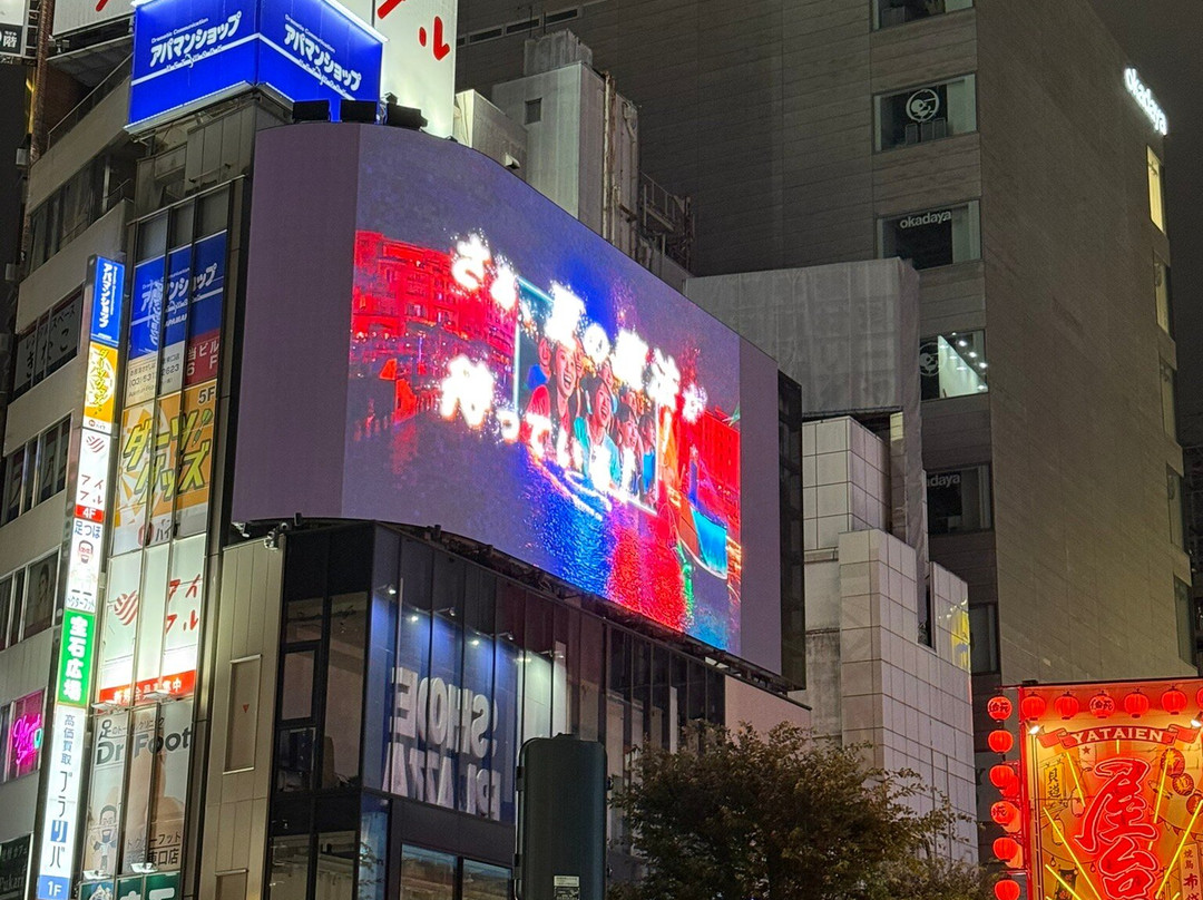 Giant 3d Cat Display Billboard-Shinjuku 3 Chome必去景点