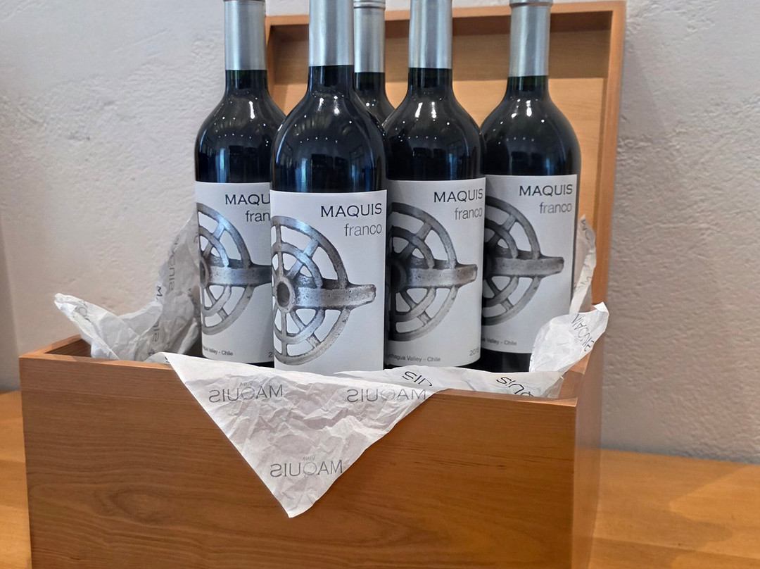 Vina Maquis-Palmilla必去景点