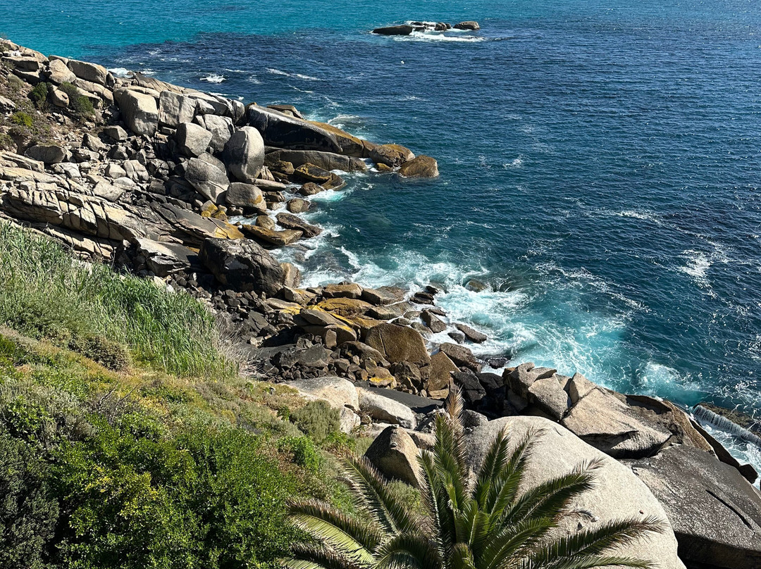 Jarat Tours-Cape Peninsula National Park必去景点