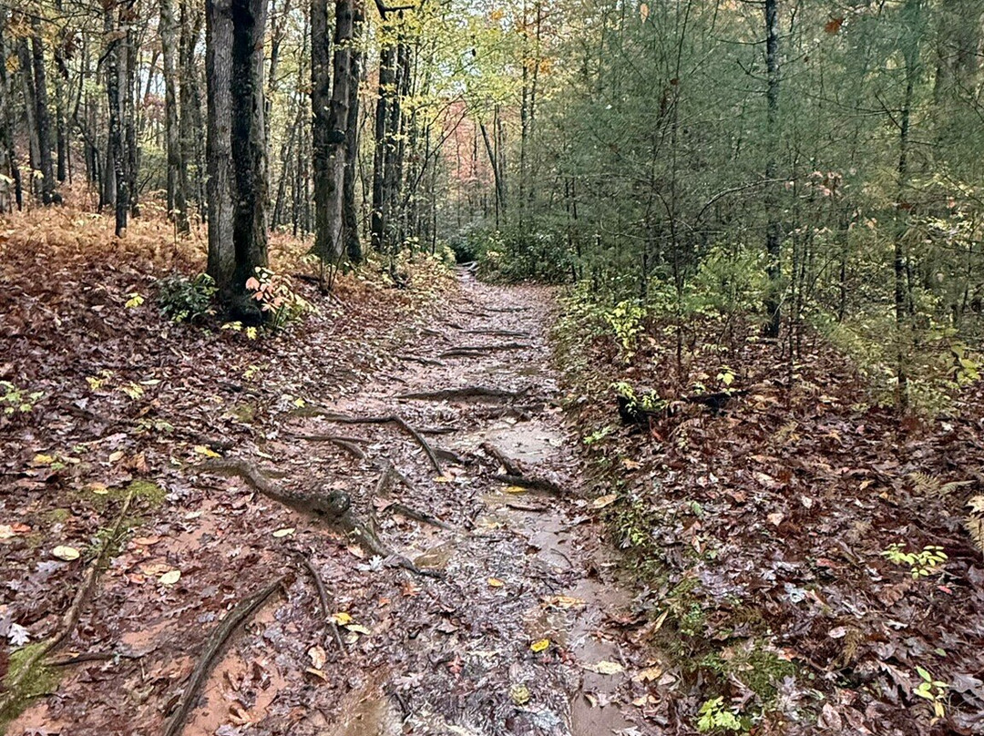 Hemlock Falls Trail-Clarkesville必去景点