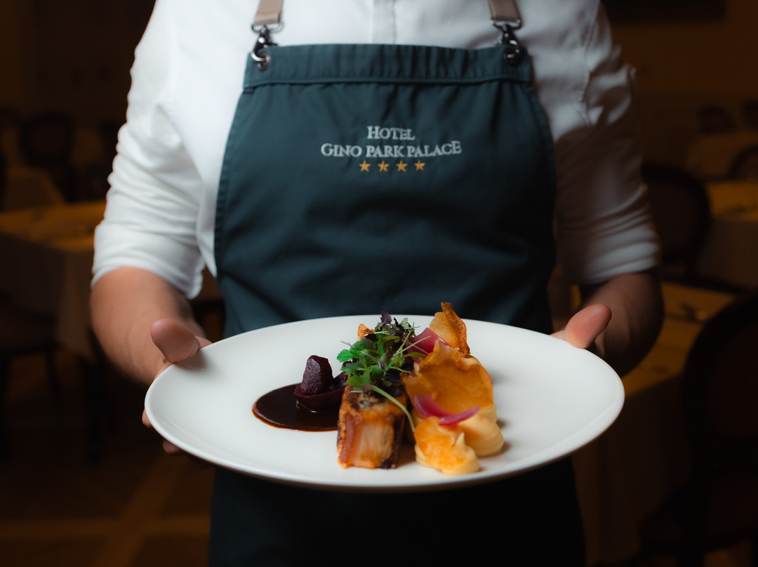 Hotel Gino Park Palace主图