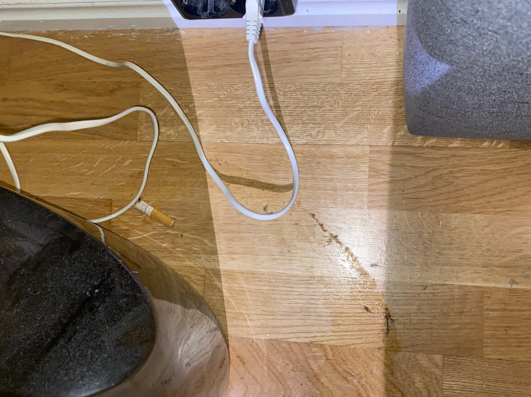 Treetop Spa Hangout & Hotel主图