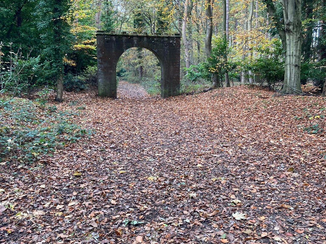 Holt Country Park-诺威奇必去景点