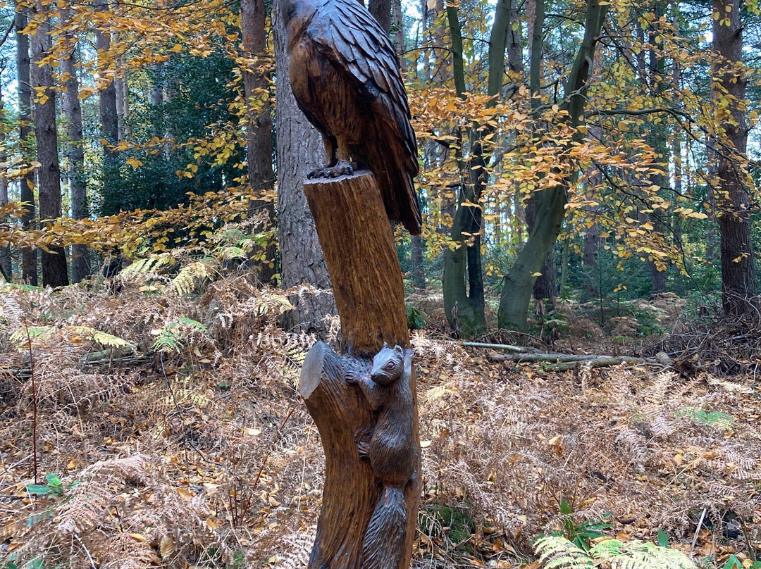 Holt Country Park-诺威奇必去景点