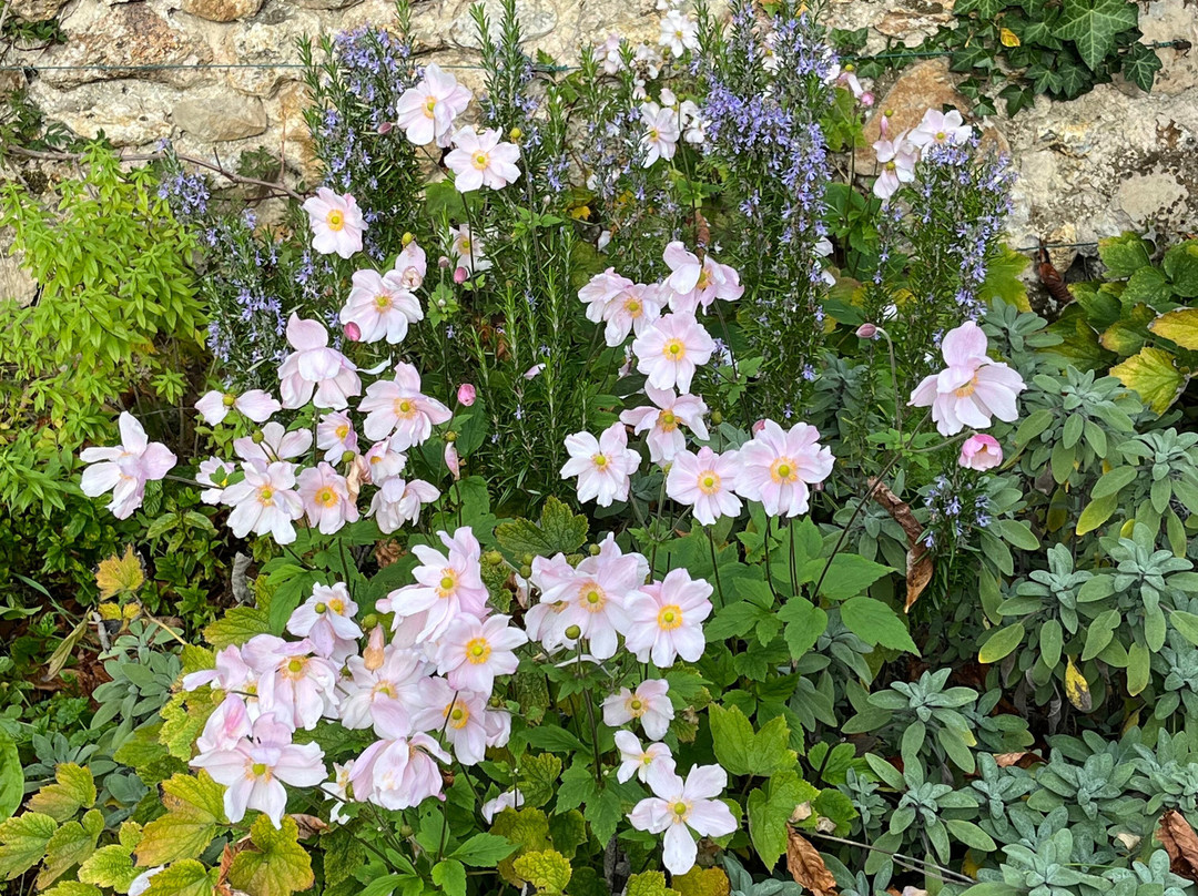 Le Clos Corbier主图