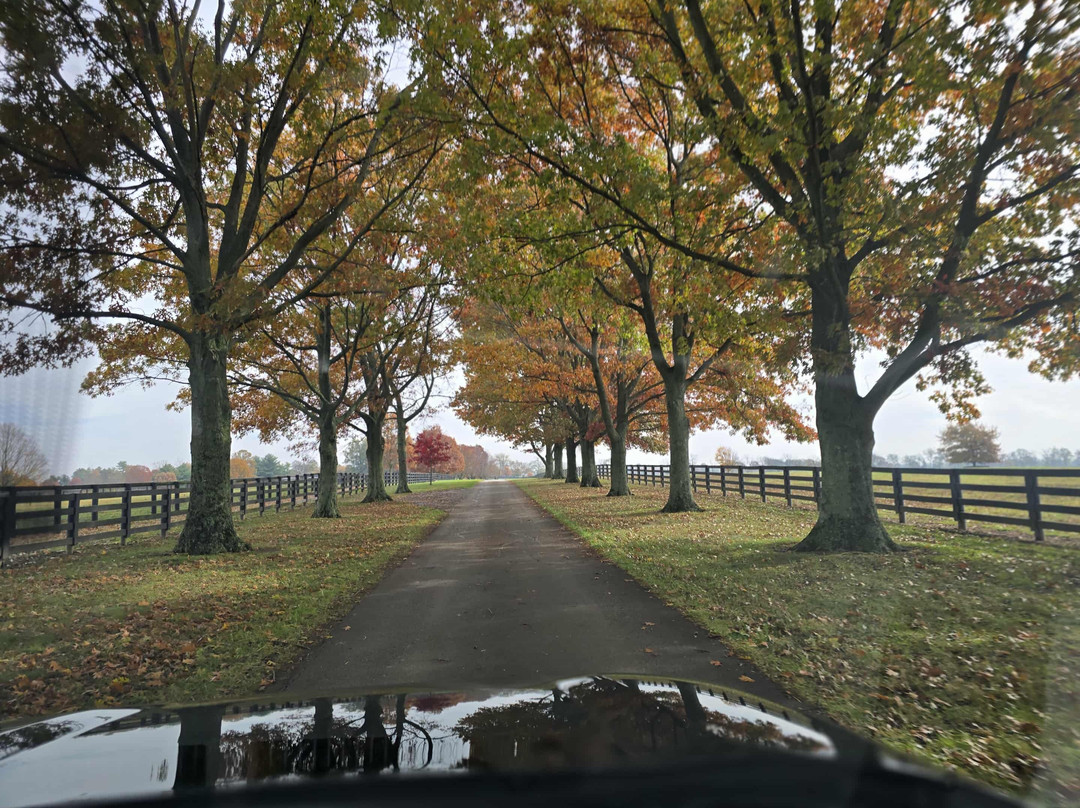 Mill Ridge Farm-列克星敦必去景点