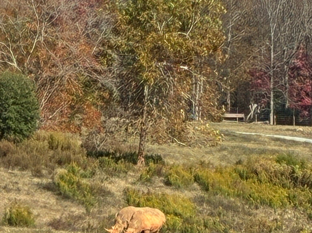 North Carolina Zoo-Asheboro必去景点