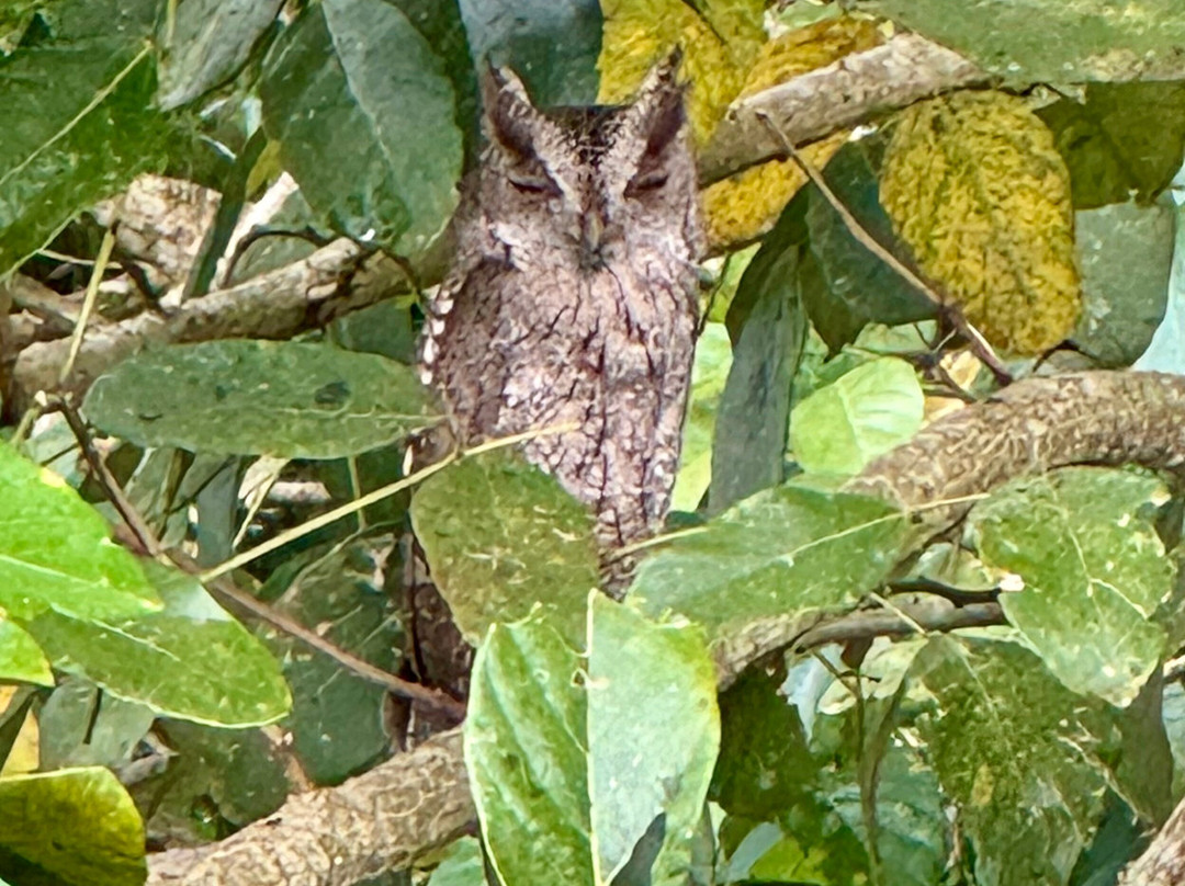 Pizote Tours-Boca Tapada必去景点