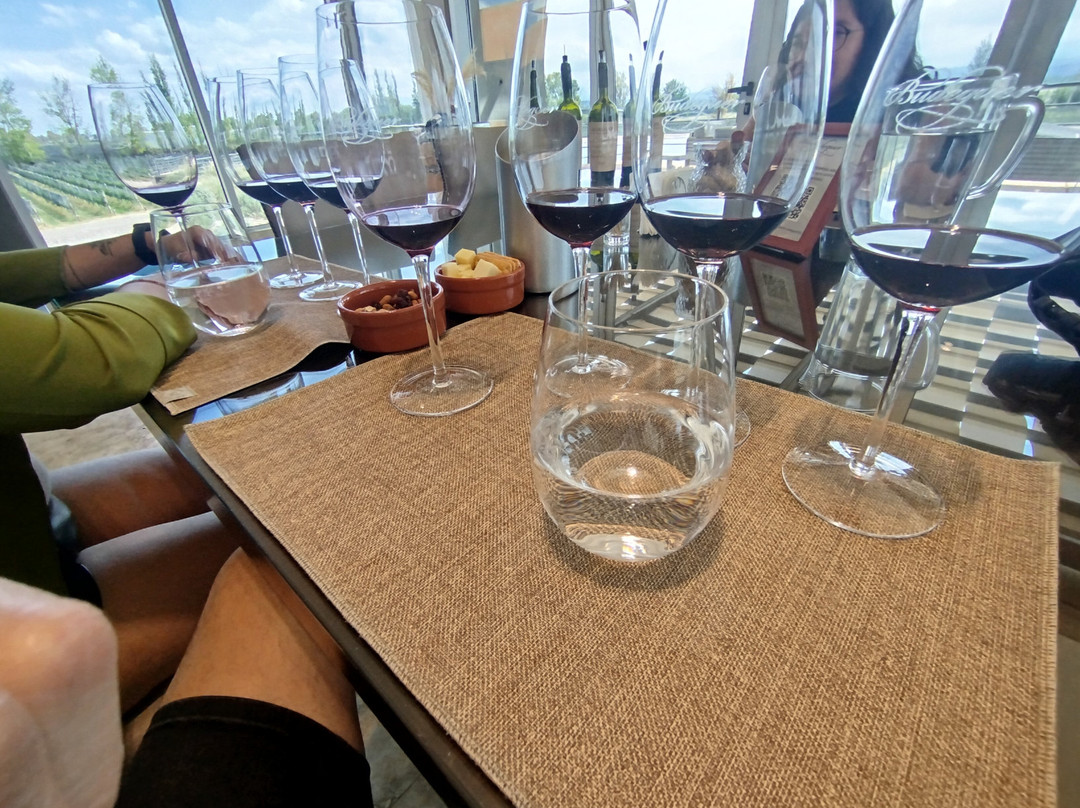 Bodega Budeguer-阿格雷洛必去景点