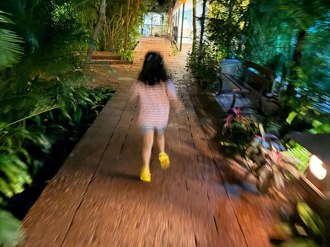 Mayfair On Sea主图