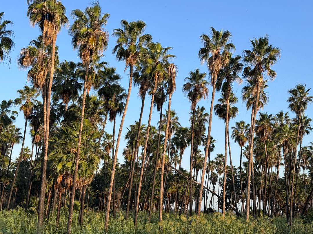 Rancho Animas-Animas Bajas必去景点
