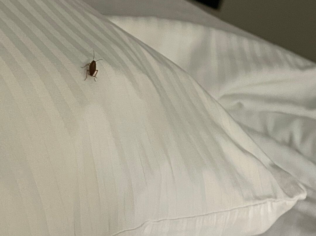 La Quinta Inn & Suites by Wyndham Clinton Historic Route 66主图