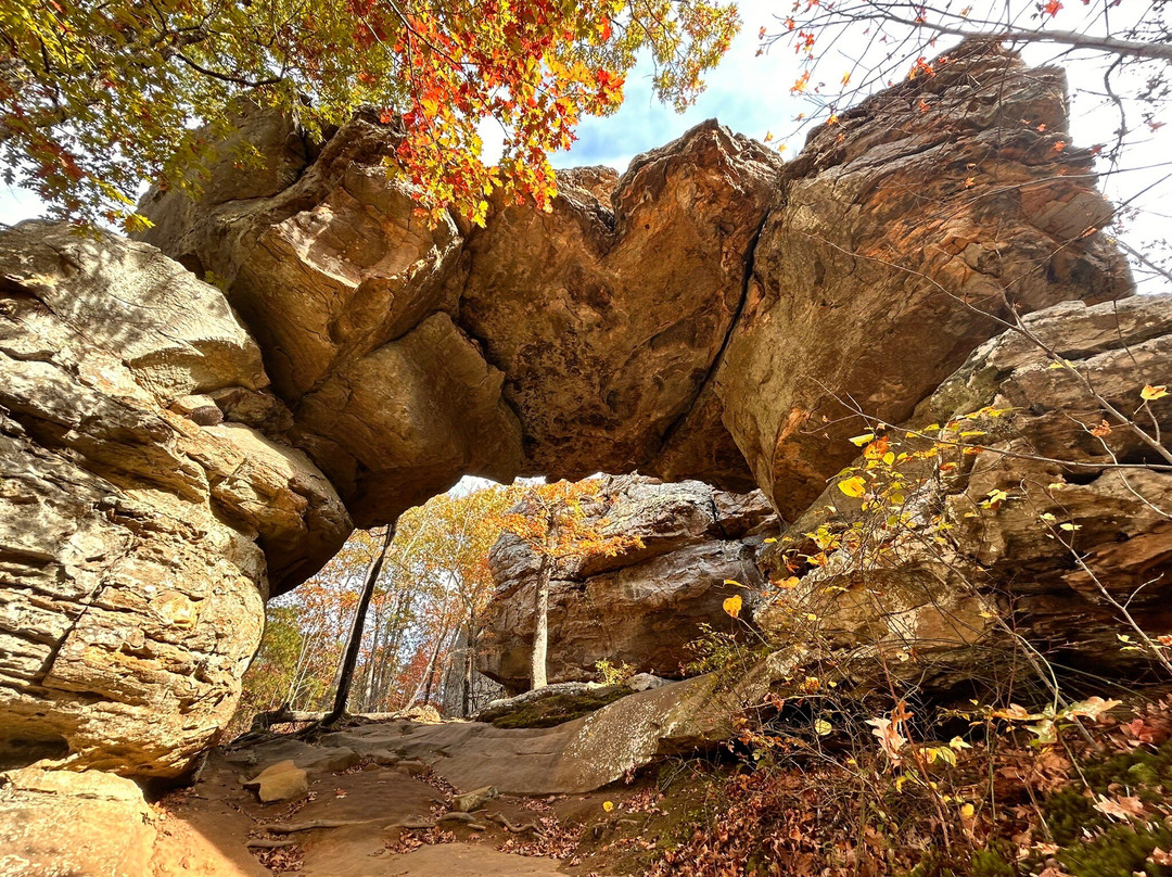 Seven Hollows Trail-Morrilton必去景点