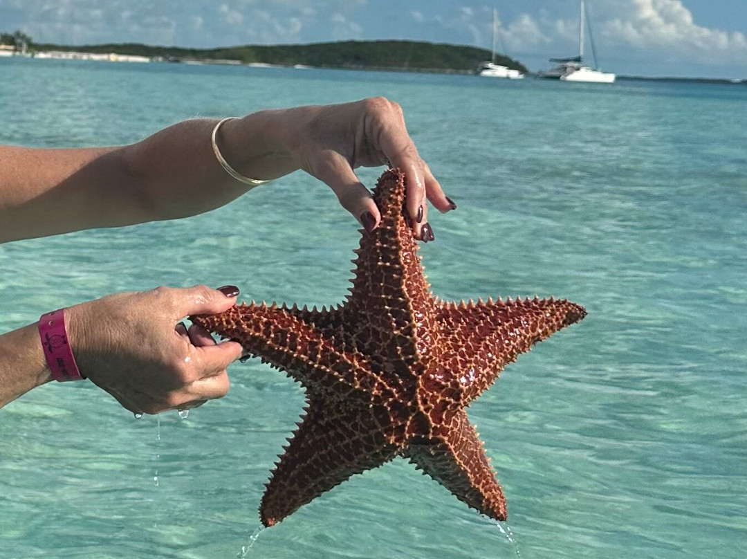 Minns Water Sports-George Town必去景点