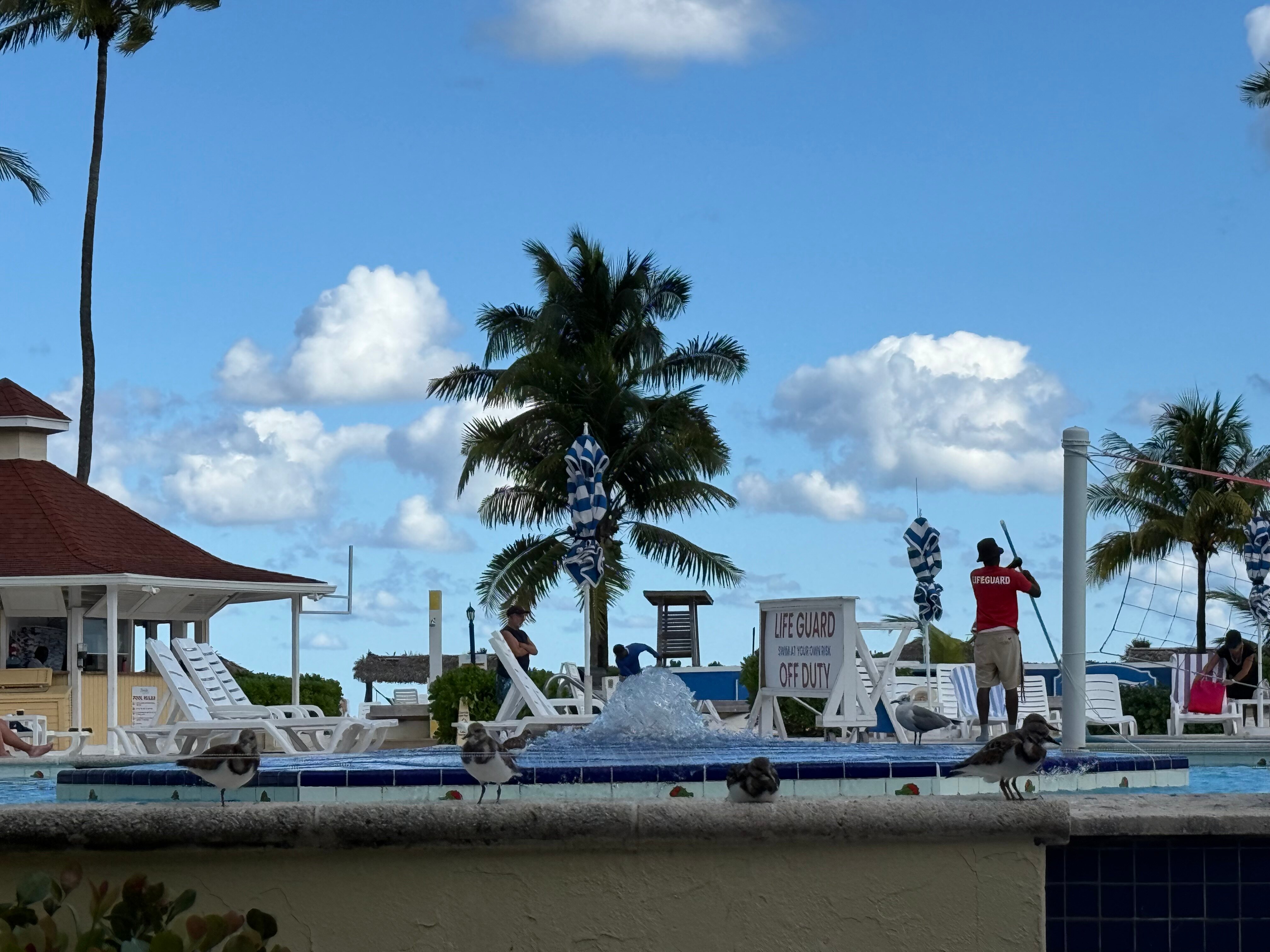 巴哈马布里斯全包度假酒店及Spa-官方