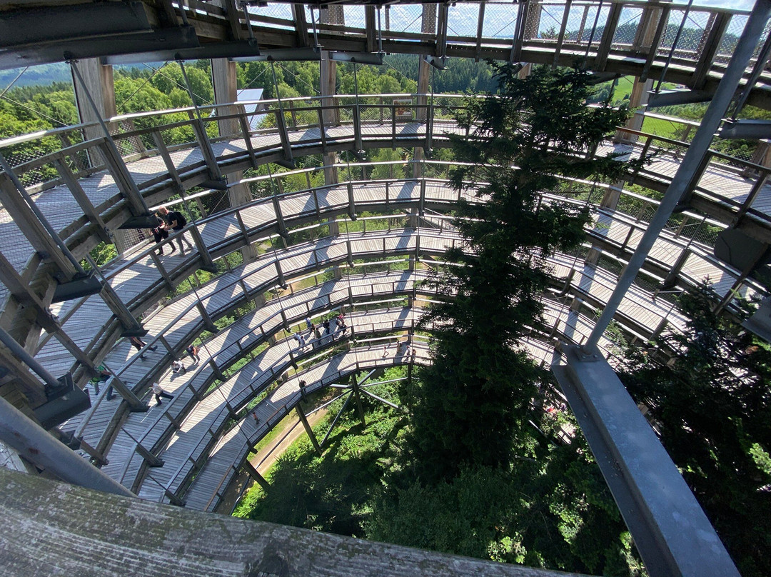 Baumwipfelpfad Bavarian Forest-Neuschonau必去景点