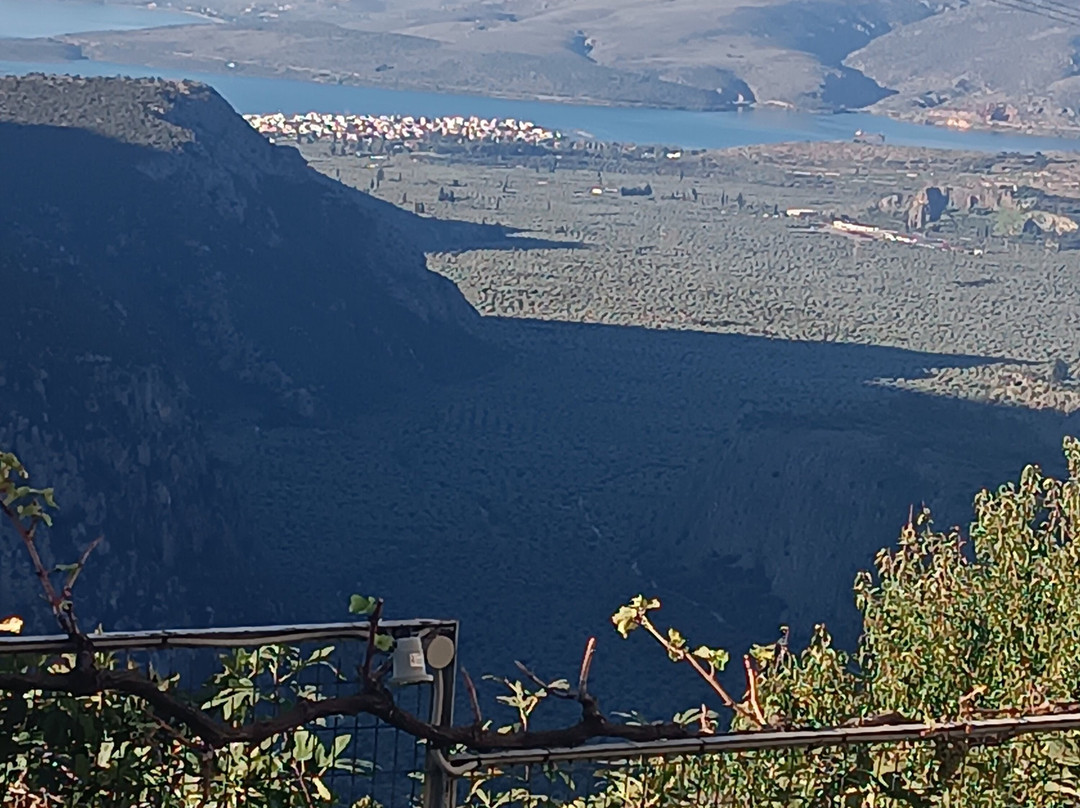 卫城戴尔斐酒店主图