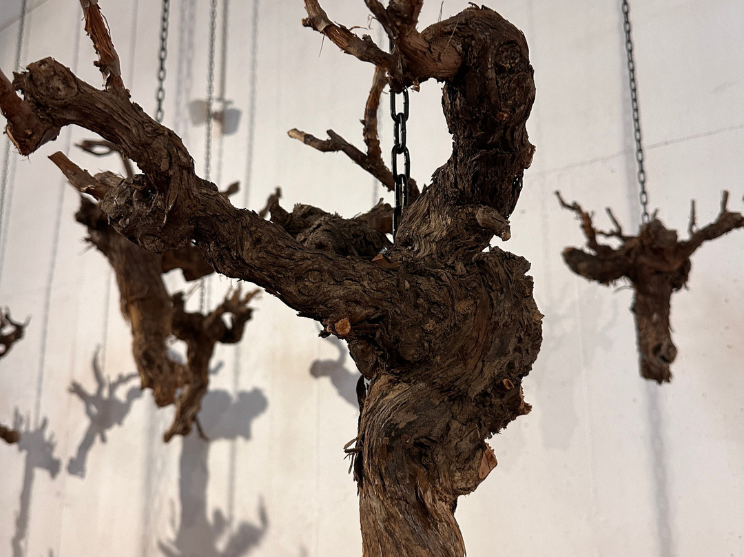 Bodegas Fariña-Toro必去景点