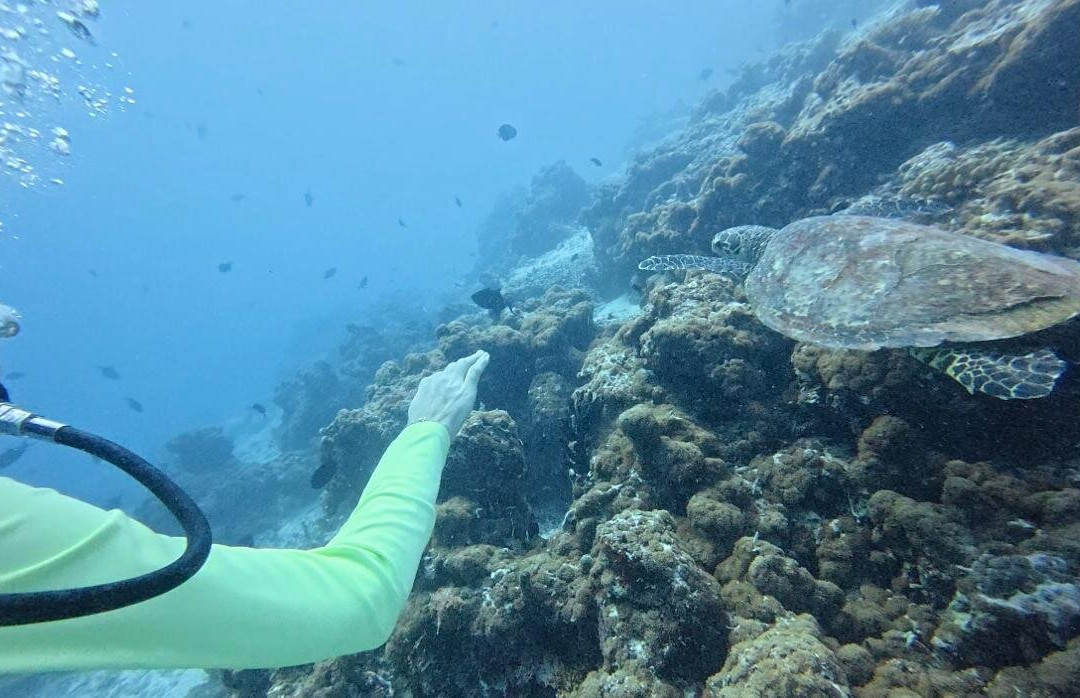 Murakabay Maldives Dive Center-乌库拉斯必去景点