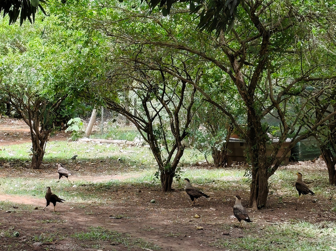 Fazenda San Francisco-米兰达必去景点