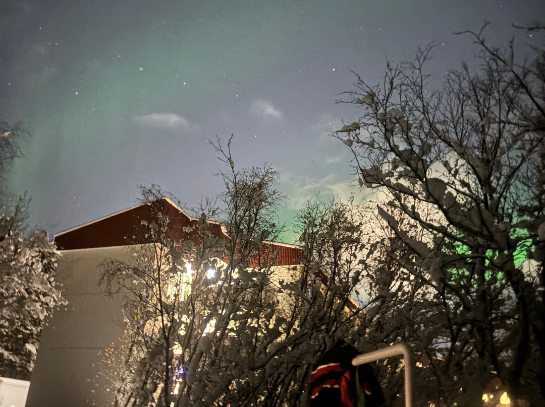 贾尔纳伦杜酒主图