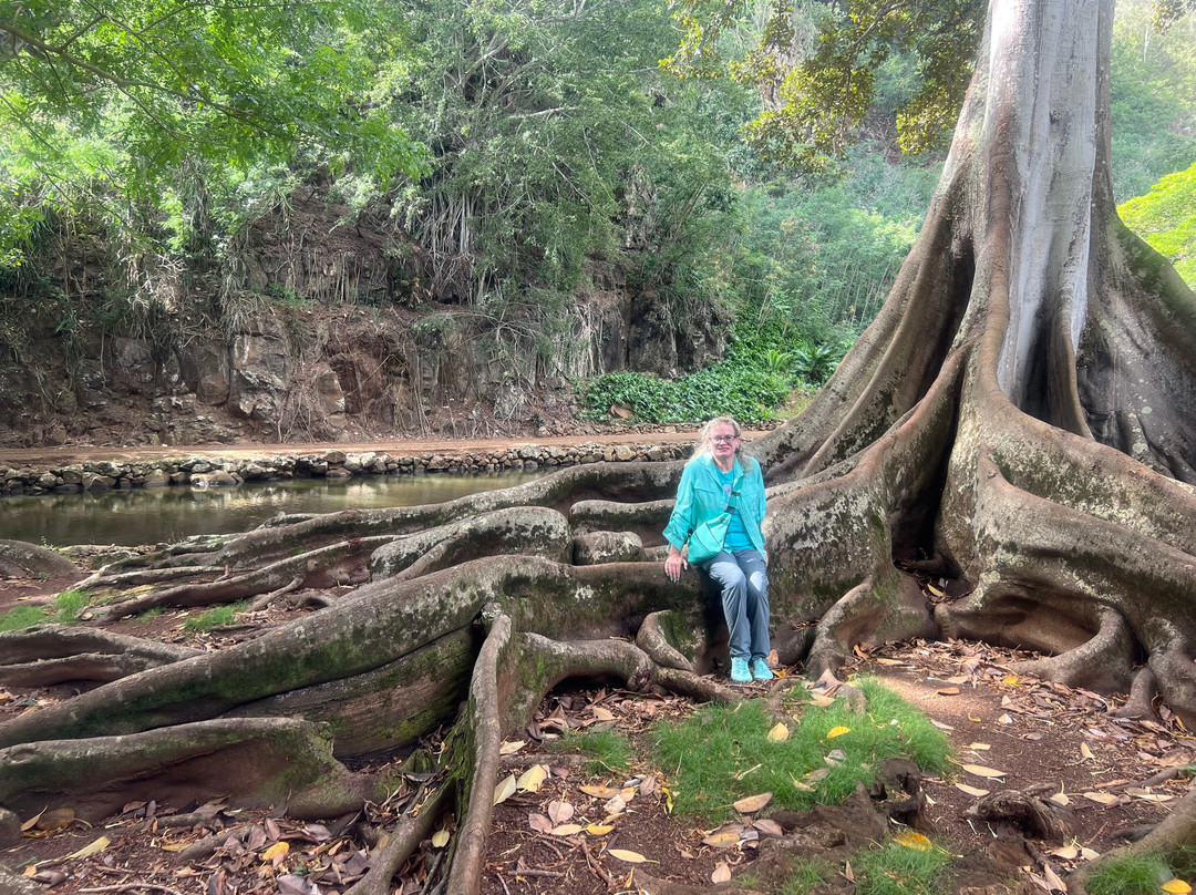 McBryde Garden - National Tropical Botanical Garden-可爱岛必去景点