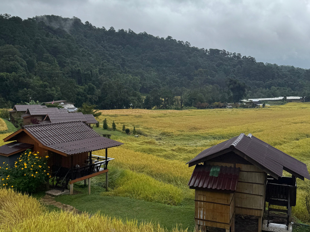 The Tuk Tuk Club-清迈必去景点