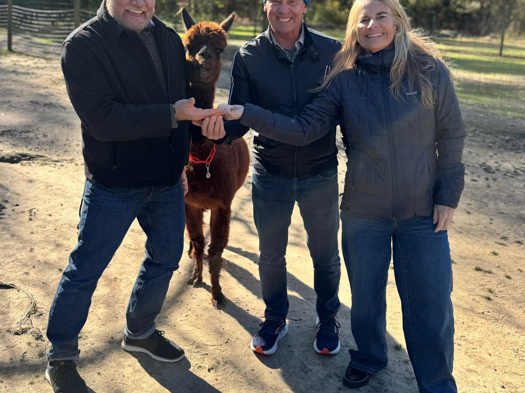 Jersey Shore Alpacas-开普梅必去景点