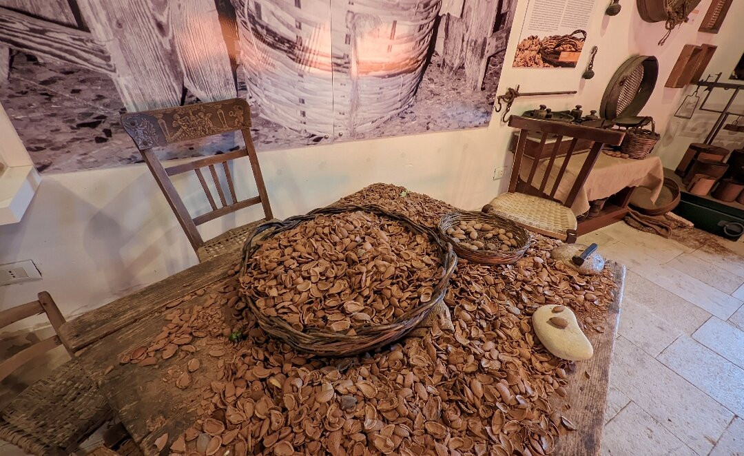 Museo della Mandorla di Avola-Avola必去景点