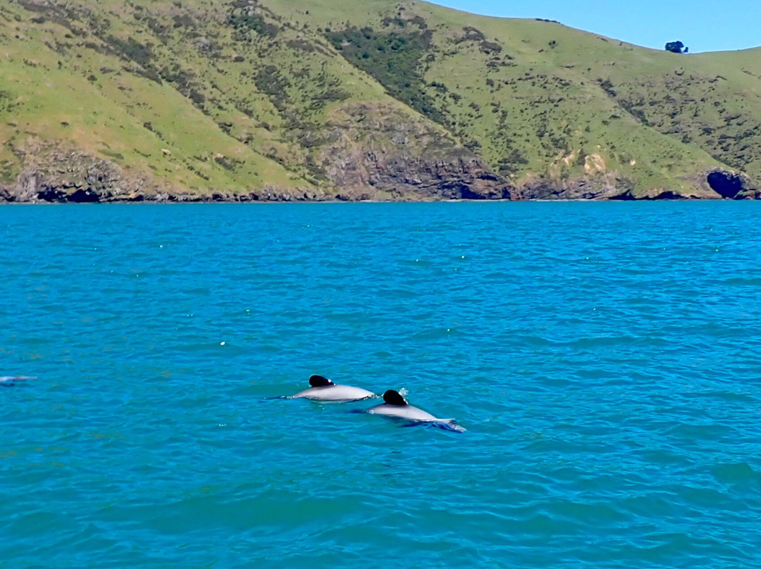 生态海洋水上行-阿卡罗阿必去景点