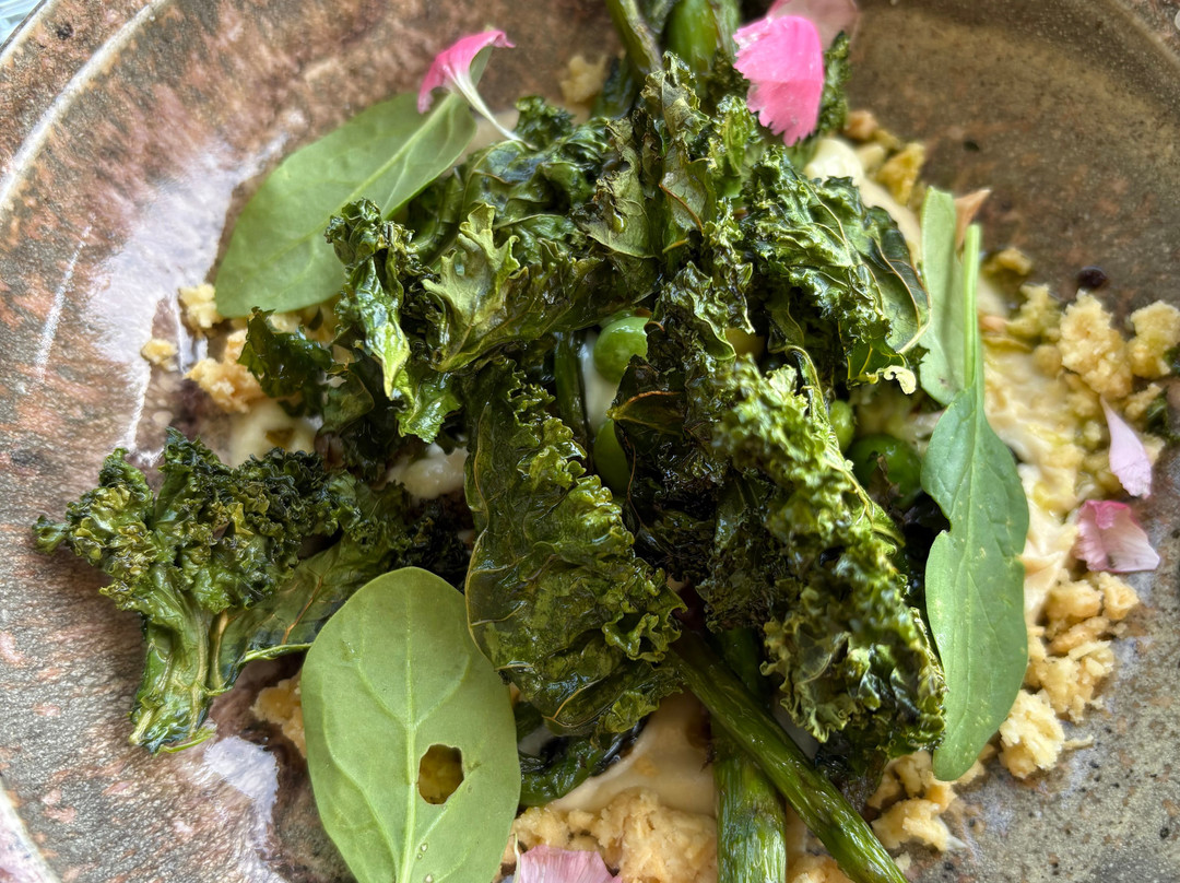 Cundo Altamira-La Consulta必去景点