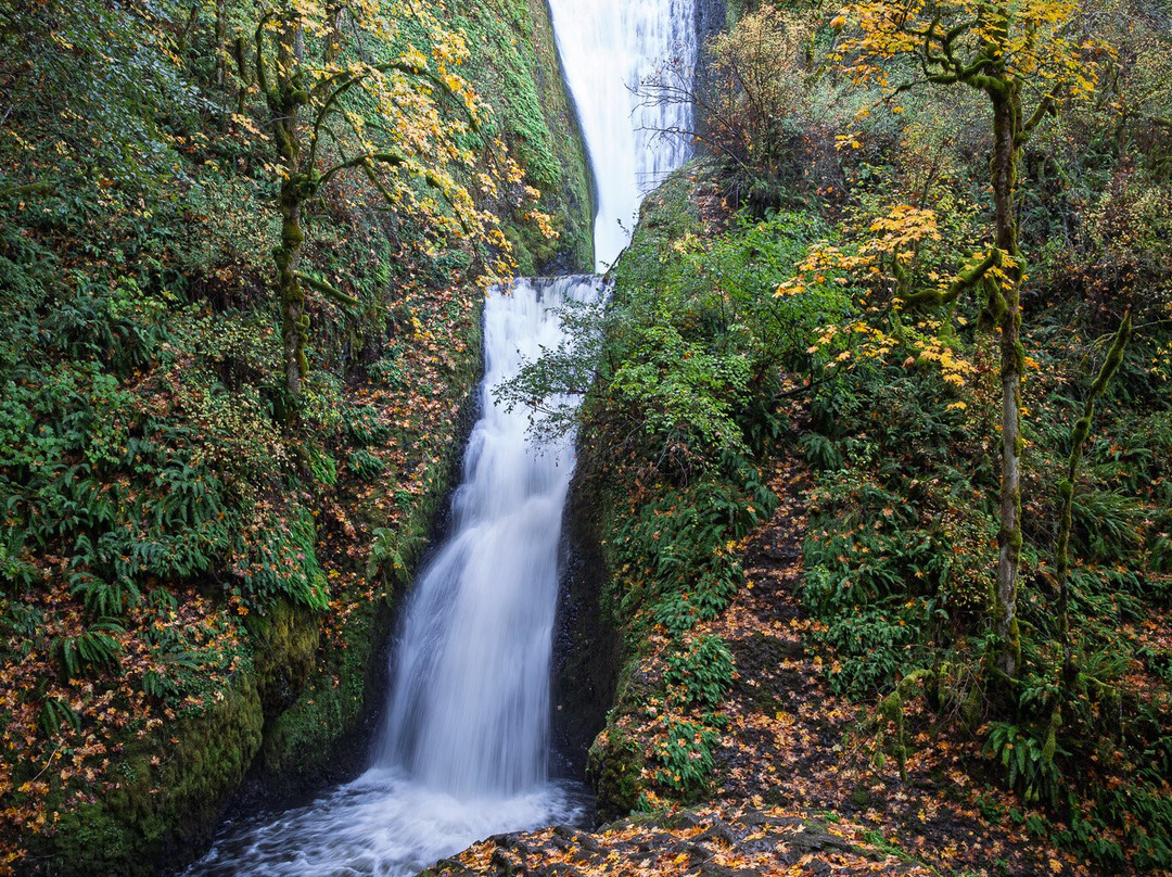 Bridal Veil Falls State Park-Corbett必去景点