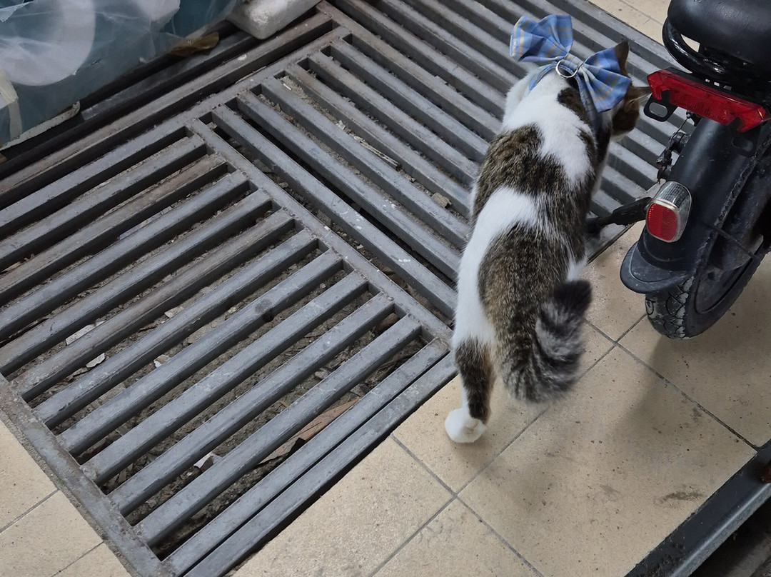 Koh Lipe Walking Street-丽贝岛必去景点