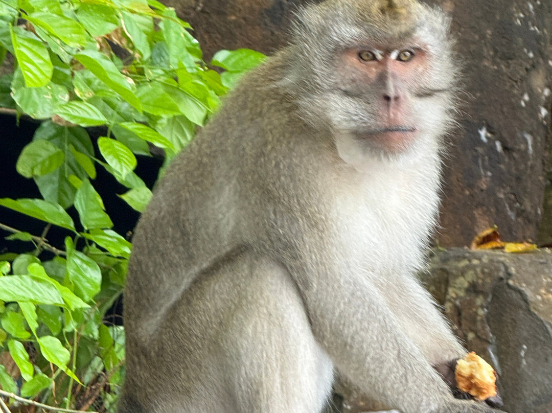 Apollon Cruise-Palmar必去景点