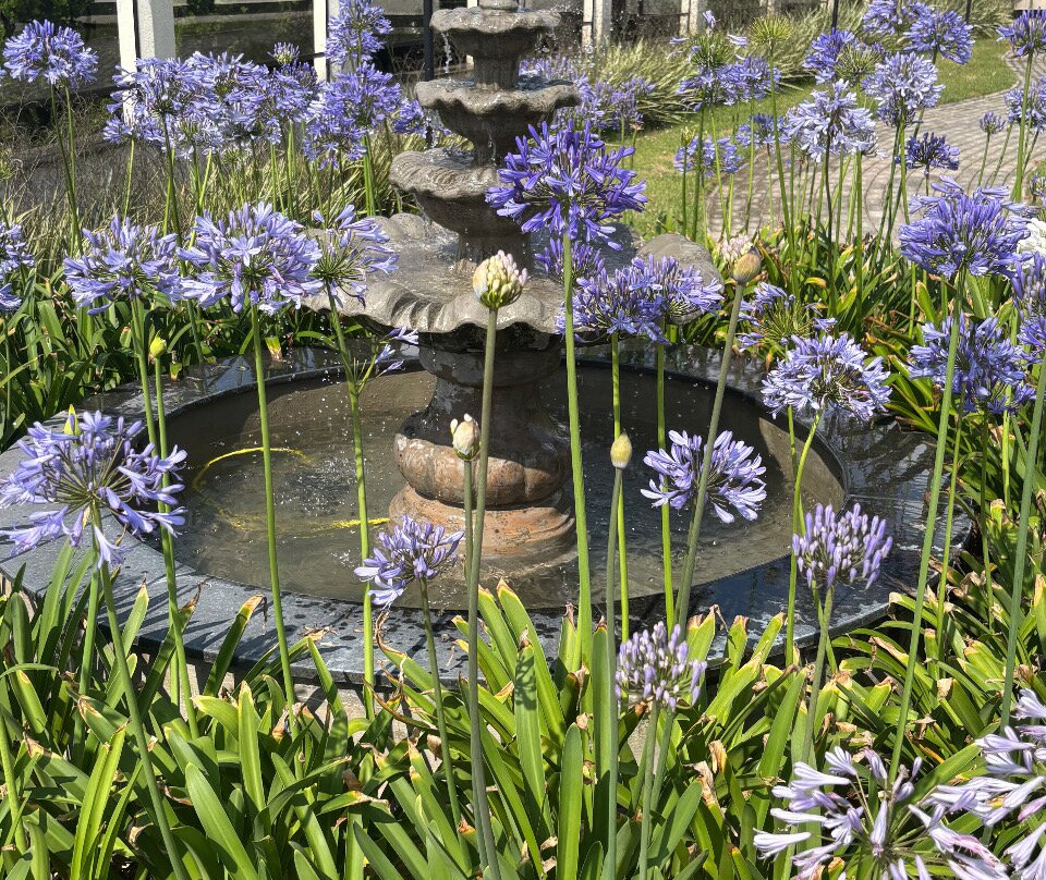 Villaggio Rosa Hotel & Eventos