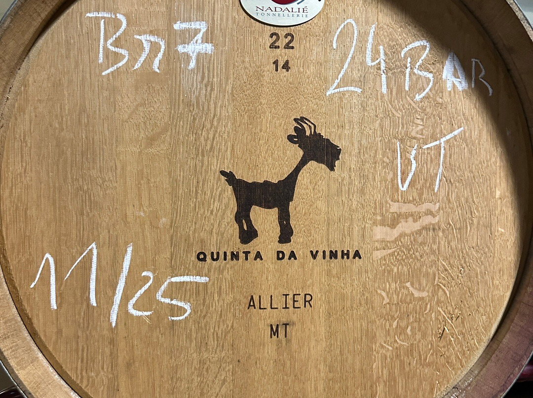 Cabrita Wines-Silves必去景点