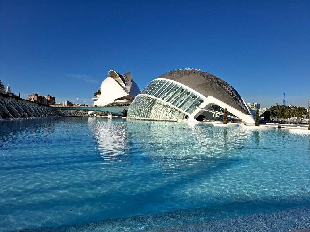 Palacio de las Artes Reina Sofía-巴伦西亚必去景点