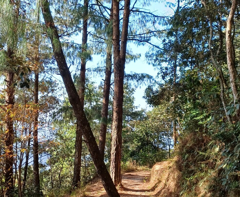 Nagarkot Nature Trail-纳加阔特必去景点