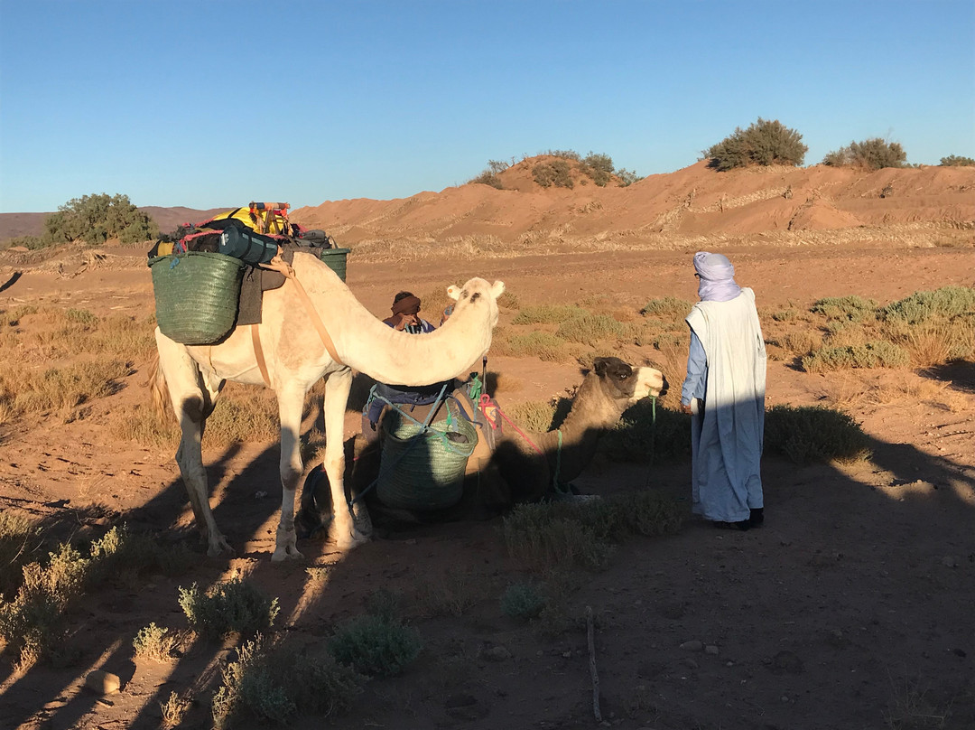 Mélodie du désert-迈哈米德必去景点