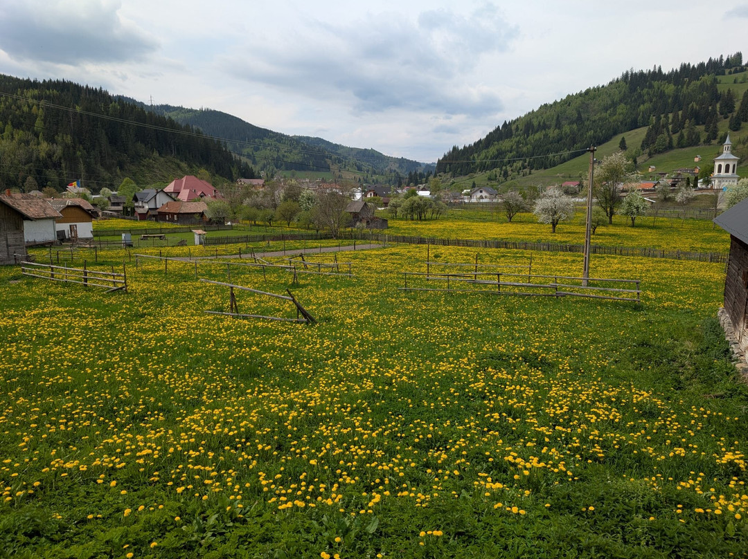 Via Transilvanica-Piatra Fantanele必去景点